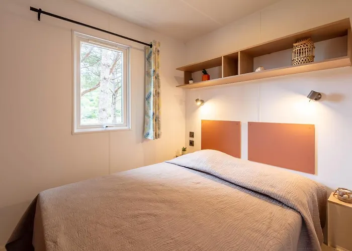 Casa vacanze Le Pinédou, Mobil-home Niché Sous Les Pins Avec Jolie Vue Hyères